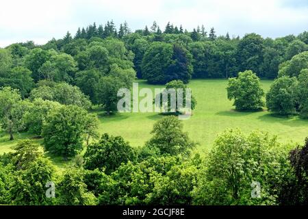 La campagne à Ranmore Common dans les collines du Surrey près de Dorking le jour ensoleillé de l'été, Angleterre Royaume-Uni Banque D'Images