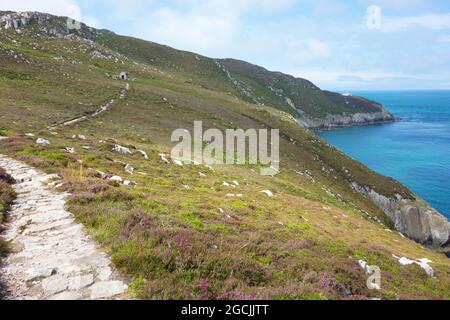 Sentier côtier d'Anglesey et promenade sur la côte rocheuse depuis le parc régional de Breakwater sur Holy Island Holyhead pays de Galles Banque D'Images