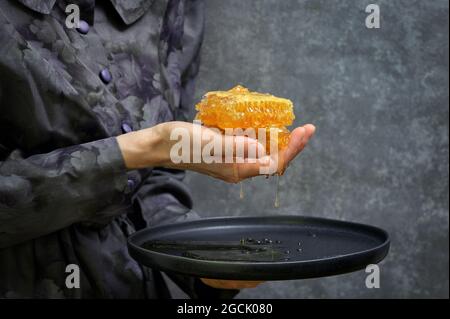 Main féminine Holdong miel frais en nid d'abeille sur plaque Banque D'Images