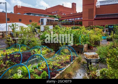 Story Garden London - jardin communautaire temporaire situé à Somers Town Kings Cross, entre la British Library et le Francis Crick Institute. Banque D'Images