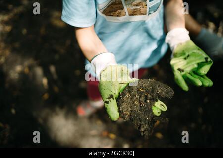 De la récolte ci-dessus, un enfant anonyme volontaire dans des gants de protection collectant les déchets en été nature Banque D'Images