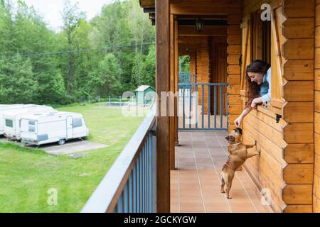 Vue latérale d'une femme gaie regardant un drôle de Bulldog français debout sur les pattes arrière sur la terrasse en bois du chalet dans le ranch de montagne des Pyrénées Banque D'Images