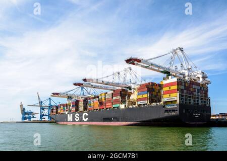 Vue arrière des conteneurs MSC Bettina déchargés par des grues portiques super post-panamax dans le terminal à conteneurs Port 2000 du Havre, France. Banque D'Images