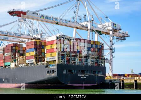 Stern du navire à conteneurs MSC Bettina, déchargé par des grues portiques à conteneurs super post-panamax dans le terminal à conteneurs Port 2000 du Havre, France. Banque D'Images