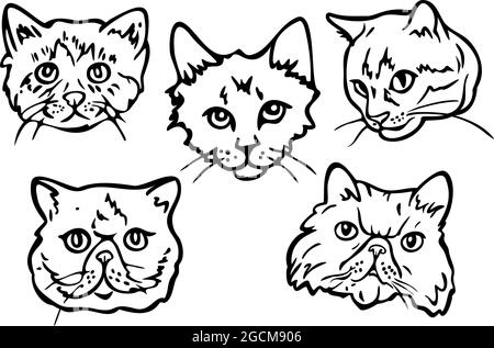 Jeu d'illustrations vectorielles avec contours de différentes faces CATS. Portraits de chats dessinés à la main. Illustration de Vecteur