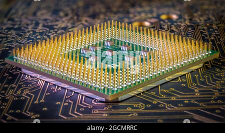 gros plan de l'unité centrale du processeur de l'ordinateur avec des broches dorées sur le fond de la carte de circuit imprimé sombre avec des fils dorés Banque D'Images