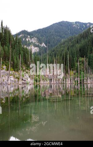 Lac de Kaindy dans la montagne Tien Shan, Kazakhstan. Banque D'Images