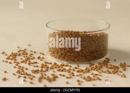Le fenugrec ou uluva est une graine de plantes brun jaunâtre avec de nombreux avantages potentiels pour la santé, y compris l'amélioration du cholestérol et de la pression artérielle. Prise de vue activée Banque D'Images