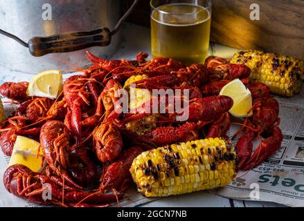 Langouste à la vapeur avec du maïs grillé et de la bière. Banque D'Images