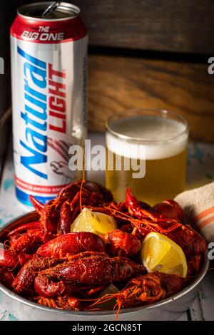 Bière naturelle légère avec langouste vapeur et maïs grillé. Banque D'Images