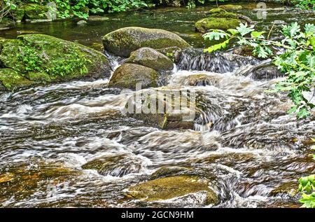 eau en cascade dans le ruisseau willard situé dans le parc national de willard brook à townsend mass. Banque D'Images