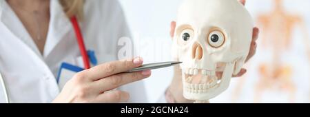 Le médecin garde le squelette du crâne dans le bureau médical Banque D'Images