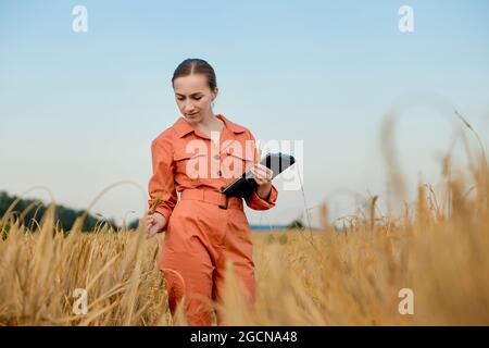 Agronome avec ordinateur numérique de tablette dans le champ de blé utilisant des applications et Internet. Une agriculture intelligente utilisant les technologies modernes dans l'agriculture Banque D'Images