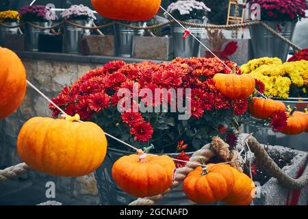 Décorations extérieures automnales faites de citrouilles et de fleurs Banque D'Images
