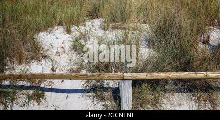 Dune de sable partiellement couverte d'herbe avec barrière de bois sur la côte de la mer Baltique près de Zingst Banque D'Images