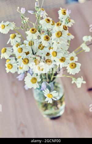 Bouquet de fleurs de Marguerite sauvage (Bellis perennis) dans un verre intérieur dans une maison. Banque D'Images