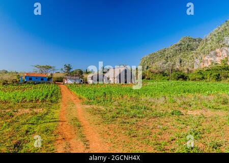Petit village dans la vallée de Vinales, Cuba Banque D'Images