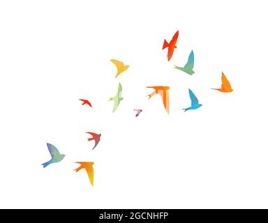 Des hirondelles multicolores. Troupeau volant d'oiseaux. Illustration vectorielle Illustration de Vecteur
