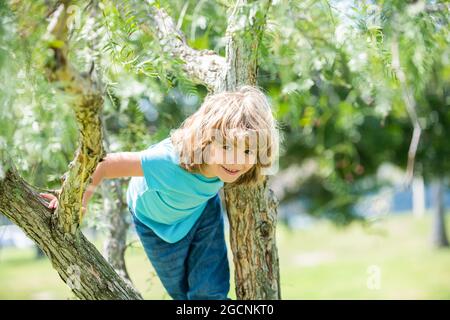 Grimper les arbres est toujours amusant. Arbre de montée enfant de garçon actif. Amusement d'enfance. En été Banque D'Images