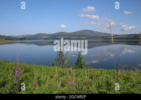 Clatteringshaws loch, Galloway Forest Park, Dumfries et Galloway, Écosse, juillet 2021 Banque D'Images