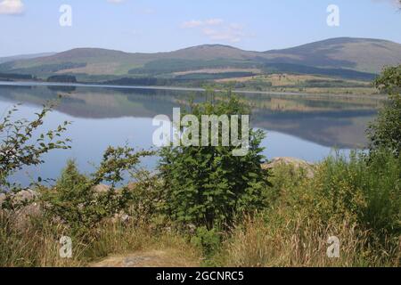 Clatteringshaws loch, Galloway Forest Park, Dumfries et Galloway, Écosse, juillet 2021 Banque D'Images