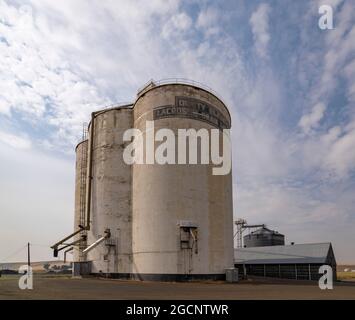 Silos à grains à Dusty, État de Washington, États-Unis Banque D'Images