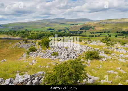 Colline à pied de Langcliffe près de s'établir dans les Yorkshire Dales Banque D'Images