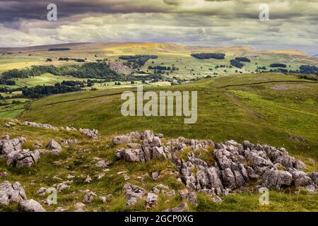 Colline à pied de Langcliffe près de s'établir dans les Yorkshire Dales Banque D'Images