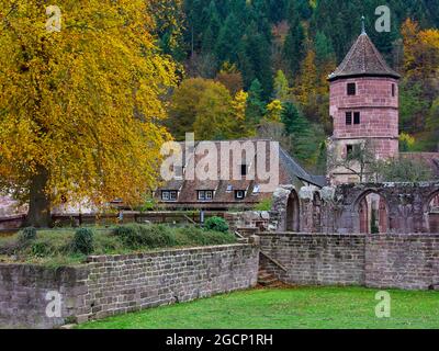 Abbaye de Hirsau (ancienne abbaye bénédictine) : ruines et tour de porte (à droite), près de Calw dans la Forêt Noire du Nord, Bade-Wurtemberg, Allemagne Banque D'Images