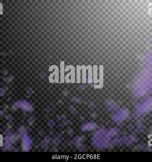 Pétales de fleurs violettes tombant. Fleurs romantiques exceptionnelles tombant de pluie. Pétale volante sur fond carré transparent. Amour, romance concept. Être Illustration de Vecteur
