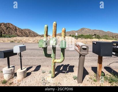 Boîtes aux lettres de cactus ruraux, Kearny, Arizona, U.S.A Banque D'Images
