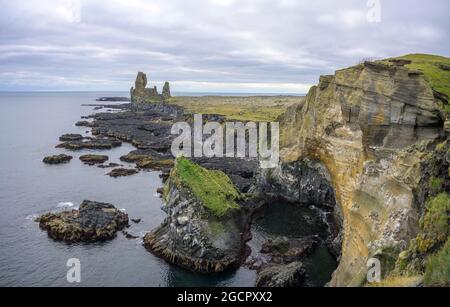 Oiseaux nicheurs dans les falaises de Londrangar, Snaefellsbaer, Vesturland, Islande Banque D'Images