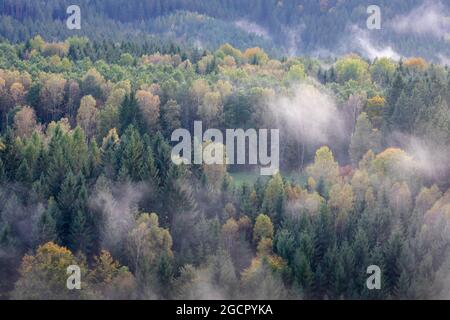 Vue depuis le bassin de cowshed, les montagnes de grès d'Elbe, le parc national de la Suisse saxonne, la Saxe, l'Allemagne Banque D'Images