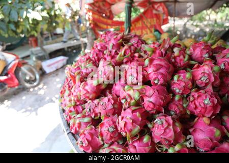 Un bouquet de fruits de dragon sur un marché frais à Nha Trang, dans l'est du Vietnam. La peau rose rouge des Pitahaya ou Pitaya, le fruit d'Hylocereus, un type de Banque D'Images