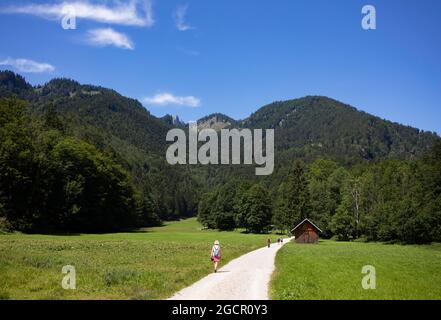 Randonnée sur le chemin de Schwarzensee à Moosalm Municipalité de St.Wolfgang, Salzkammergut, haute-Autriche, Autriche Banque D'Images