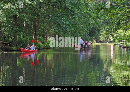 Touristes pagayant le long de la Spree, Spreewald près de Schlepzig, Brandebourg, Allemagne Banque D'Images