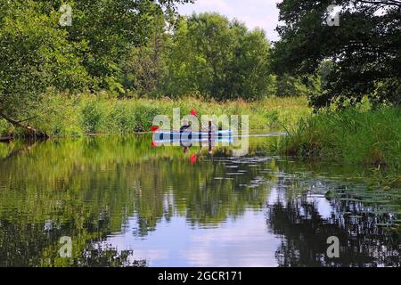 Touristes pagayant le long de la Spree, Spreewald près de Schlepzig, Brandebourg, Allemagne Banque D'Images