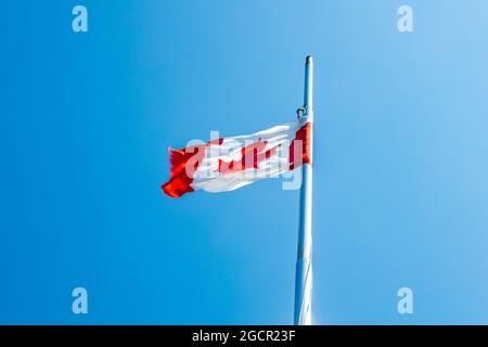 Le drapeau canadien sur un mât dans un ciel bleu foncé. Le drapeau rouge et blanc du Canada avec la feuille d'érable au centre. La bannière nationale agite dans le Banque D'Images