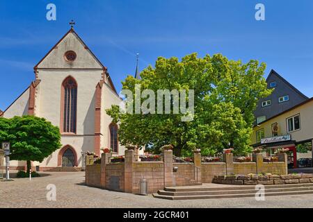 Mosbach, Allemagne - juin 2021 : église appelée 'Abbaye de Mosbach' ou 'Stiftskirche St. Juliana' sur la place de la ville dans le centre de la vieille ville Banque D'Images