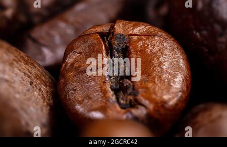 Gros plan d'un grain de café. Photographie macro des grains de café en haute résolution. Ultra macro détaillée sur un grain de café torréfié. Photograp microscopique Banque D'Images