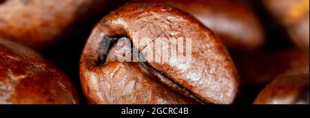 Gros plan d'un grain de café. Photographie macro des grains de café en haute résolution. Ultra macro détaillée sur un grain de café torréfié. Photograp microscopique Banque D'Images