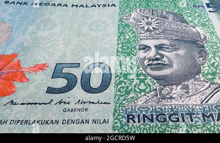 Super macro photographie de 50 Ringgit Malaisie. Gros plan extrême sur un billet de banque RM 50. Au centre le grand 50. D'un côté, l'hibiscus rouge fleurit sur le Banque D'Images
