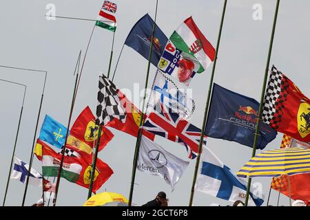 Ventilateurs et drapeaux. Grand Prix de Hongrie, samedi 27 juillet 2013. Budapest, Hongrie. Banque D'Images