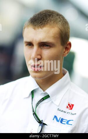 Sergueï Sirotkin (RUS) Sauber. Grand Prix d'Italie, jeudi 5 septembre 2013. Monza Italie. Banque D'Images