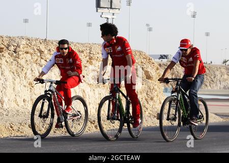 Fernando Alonso (ESP) Ferrari (à droite) sur son vélo, fait le tour de la route périphérique autour du circuit. Test de Formule 1, test de Bahreïn 2, troisième jour, samedi 1er match 2014. Sakhir, Bahreïn. Banque D'Images