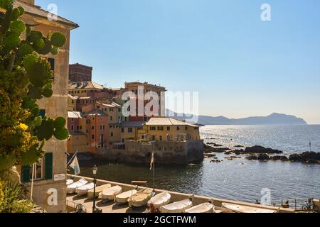 Vue sur le village de pêcheurs de Boccadasse avec une poire en forme de pruneau au premier plan et le promontoire de Portofino à l'horizon de la mer, Gênes, Italie Banque D'Images