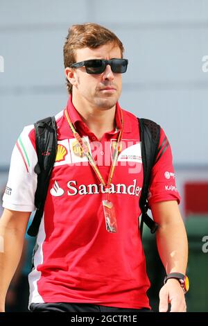 Fernando Alonso (ESP) Ferrari. Grand Prix de Hongrie, samedi 26 juillet 2014. Budapest, Hongrie. Banque D'Images