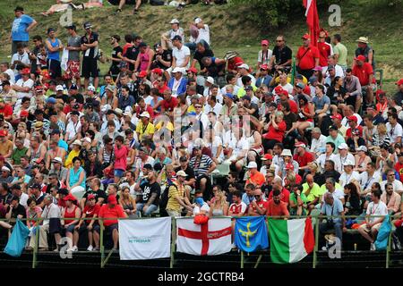 Fans dans la tribune. Grand Prix de Hongrie, dimanche 27 juillet 2014. Budapest, Hongrie. Banque D'Images