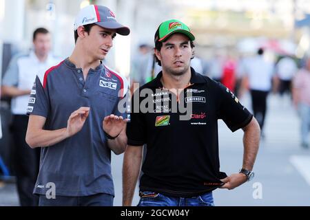 (De gauche à droite): Esteban Gutierrez (MEX) Sauber avec Sergio Perez (MEX) Sahara Force India F1. Grand Prix brésilien, vendredi 7 novembre 2014. Sao Paulo, Brésil. Banque D'Images