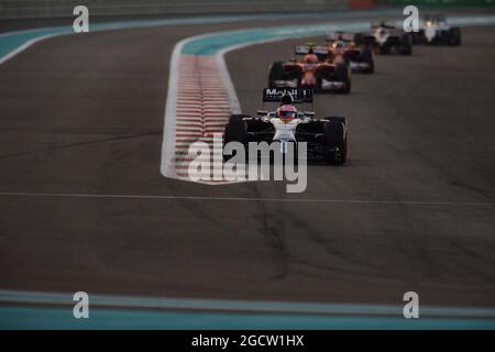 Jenson Button (GBR) McLaren MP4-29. Grand Prix d'Abu Dhabi, dimanche 23 novembre 2014. Yas Marina circuit, Abu Dhabi, Émirats Arabes Unis. Banque D'Images